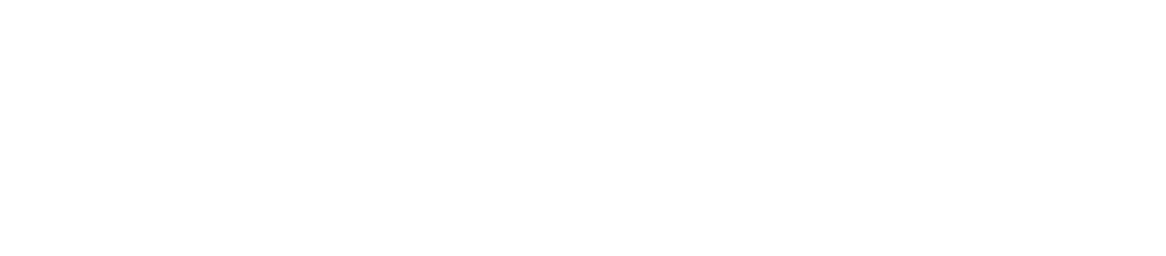 LEVEL